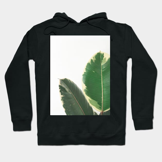 Leaf Study Hoodie by Cassia